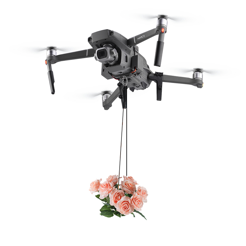 Система каплевидной подарочной – обзор и цена Drone Dji Rc Pro